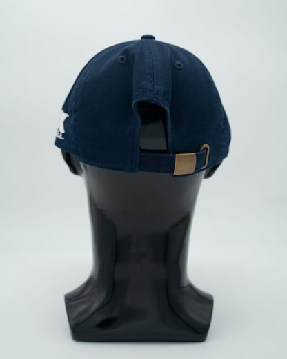 DTV Blue Embroidered Caps