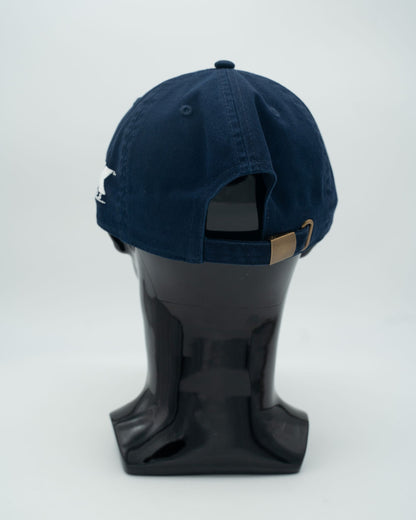 ETE Blue Embroidered Caps